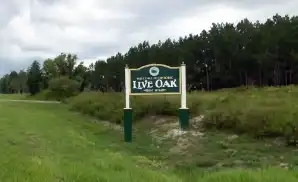 Live Oak Concert Tickets