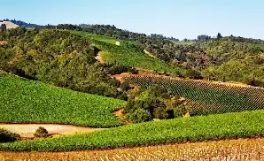 Livermore Concert Tickets