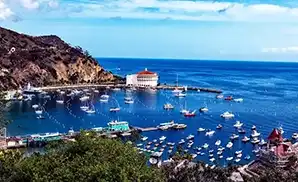 Avalon Concert Tickets