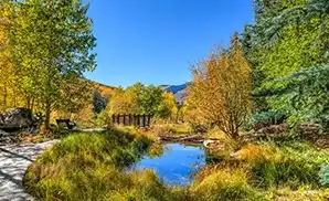 Avon Concert Tickets