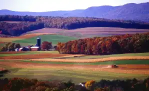 Mount Pocono Concert Tickets