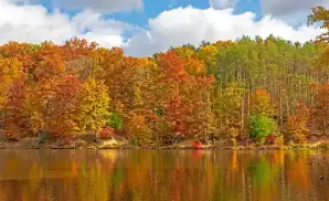 Nashville Concert Tickets