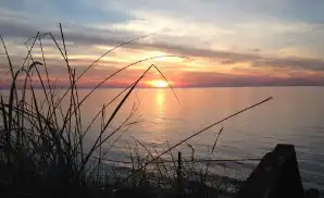 New Buffalo Concert Tickets