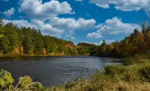 Newburgh Concert Tickets