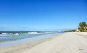 North Fort Myers Concert Tickets