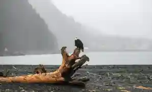 Palmer Venue & Event Tickets