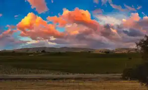 Paso Robles Concert Tickets