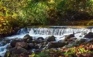 Pulaski Venue & Event Tickets