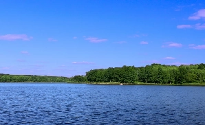 Rockford Concert Tickets