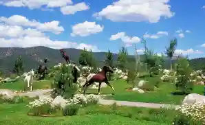 Ruidoso Downs Venue & Event Tickets