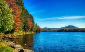 Rutland Concert Tickets