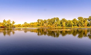 Saginaw Sport Tickets