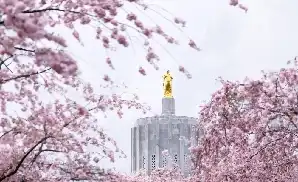 Salem Concert Tickets