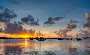 Sarasota Concert Tickets