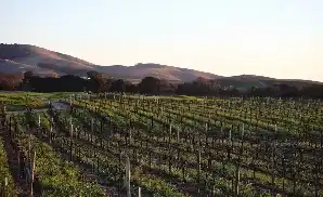 Sonoma Concert Tickets