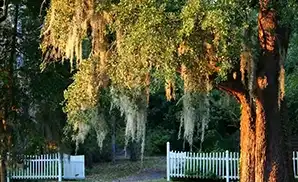 Aiken Concert Tickets