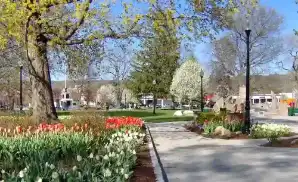 Torrington Concert Tickets