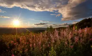 Northfield Concert Tickets