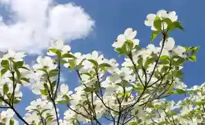 Winchester Venue & Event Tickets