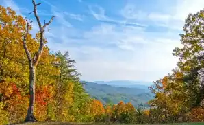 Pelham Venue & Event Tickets