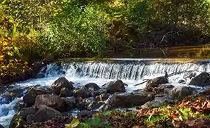 Blacksburg Concert Tickets