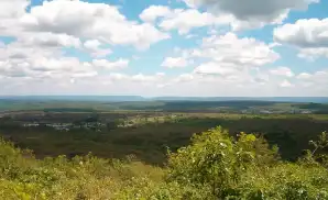 Newton Concert Tickets