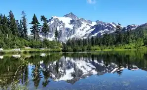 Manson Concert Tickets