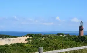 Oak Bluffs Concert Tickets