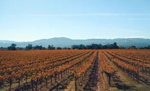 Brooks Concert Tickets