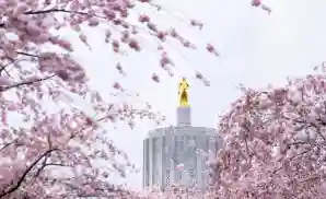 Albany Venue & Event Tickets