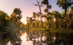 Charenton Theater Tickets