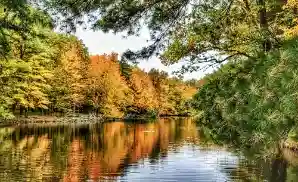 Chippewa Falls Venue & Event Tickets