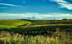 Clinton Sport Tickets