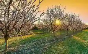 Coarsegold Venue & Event Tickets