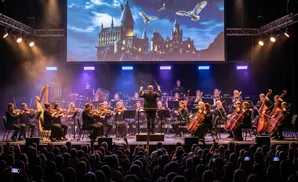 Orchestra plays a Harry Potter-themed concert in front of a Hogwarts castle backdrop to a cheering audience.