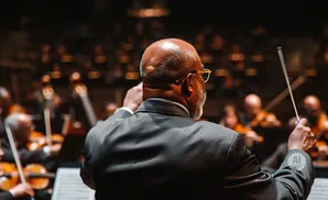 Conductor leading an orchestra, back of head and suit visible, orchestra blurred in background.