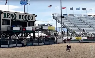 Reno Rodeo arena with a cowboy on horseback and a calf running in the dirt.