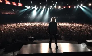 A performer on stage facing a massive cheering crowd at a concert, illuminated by stage lights.