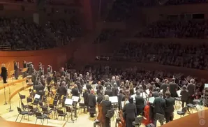 An orchestra performs on stage before a large audience.