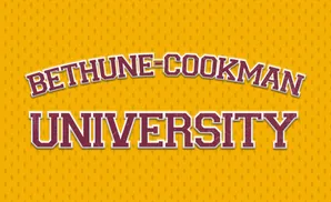 Bethune-Cookman University text on a yellow, textured background.