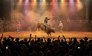 Rodeo bull rider on a bucking bull in a packed arena with audience cheering.