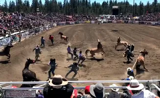 Rodeo contestants rope a bucking horse in a dusty arena filled with spectators.