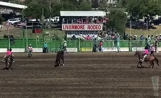 Rodeo arena with cowboys and horses, a scoreboard showing 8:00, and 