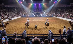 Rodeo participants rope a calf in a packed arena under colorful lights.