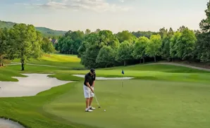 Golfer putting on a green course with sand traps and trees in the background.