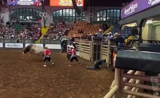 A bull rider is bucked off as rodeo clowns rush to his aid in a crowded arena.