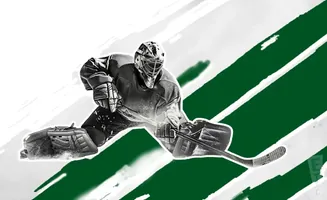 Hockey goalie in full gear making a save, with a green and white background.