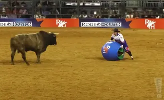Bull rider in a barrel prepares to face a bull in a rodeo arena.