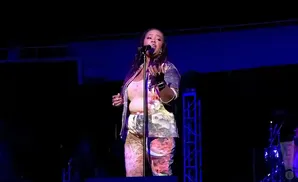 Singer performs on stage in a colorful patterned outfit, holding a microphone.