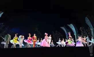 A ballet company performs on stage with elaborate costumes and set.